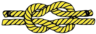 Herendispuut Nexus